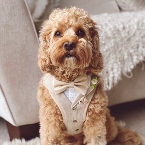 Dog tweed tuxedo harness for wedding dog birthday suit tux for dog of honour ringbearer groomsman outfit dog vest Dog wedding gift