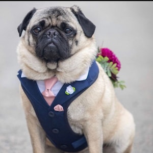 Dog suit harness made to measure tuxedo vest outfit for wedding, birthday, match bridal party choice of colours