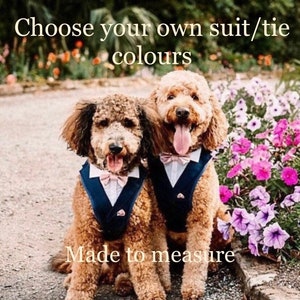 Dog Tuxedo - harness vest for dog wedding suit tux for dog of honour ring bearer groomsman outfit - chose colours made to measure