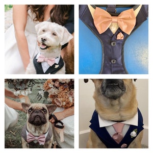 Puede incluir: Una colecci&oacute;n de ropa formal para mascotas que incluye arneses y collares para perros dise&ntilde;ados como esm&oacute;quines. Las prendas incluyen chalecos azul marino y marr&oacute;n oscuro, cuellos de camisa blancos y pajaritas o corbatas de sat&eacute;n en tonos rosa empolvado y melocot&oacute;n.