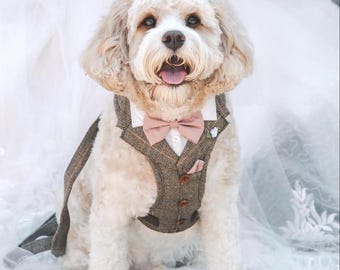 Marc Darcy Ted Tan Dog Wedding Tuxedo. Couleurs de cravate au choix. Azazie assorti