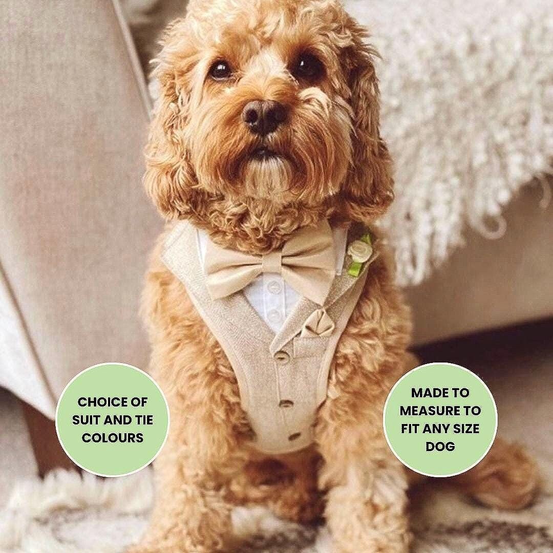 Dog tweed wedding outfit sales