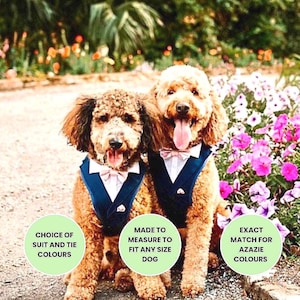 Custom Dog Wedding Tuxedo Harness, Made to Measure