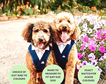 Harnais de smoking personnalisé pour mariage de chien, sur mesure