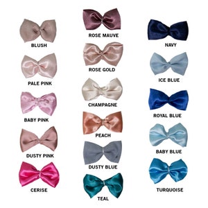 Puede incluir: Una colecci&oacute;n de quince lazos de tela satinada dispuestos en tres columnas. Cada lazo est&aacute; etiquetado con su color: Blush, Rose Mauve, Navy, Pale Pink, Rose Gold, Ice Blue, Baby Pink, Champagne, Royal Blue, Dusty Pink, Peach, Baby Blue, Cerise, Dusty Blue y Teal.