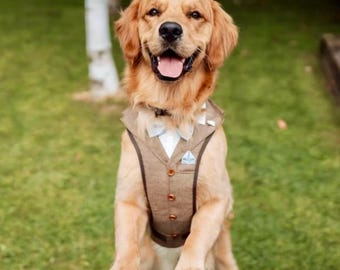 Made-to-Measure Dog Wedding Tuxedo Harness: Custom Color Suit Vest. Exact match for Azazie colors
