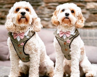 Puede incluir: Dos perros color crema con chalecos de tweed con pajaritas rosas. Los chalecos tienen botones marrones y un pañuelo de bolsillo. Los perros están sentados y mirando a la cámara. El fondo es una pared de piedra borrosa.
