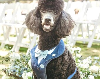 Harnais de smoking pour chien personnalisé, tenue de mariage, sur mesure