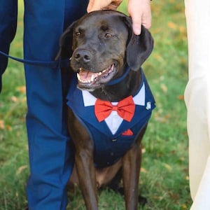 Tweed Dog Tuxedo suit harness - Wedding Ring Bearer outfit - Azazie bridal colours available - Made to measure in choice of colours