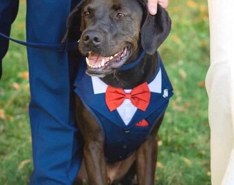 Harnais de smoking pour chien en tweed - Tenue personnalisée pour porte-alliances
