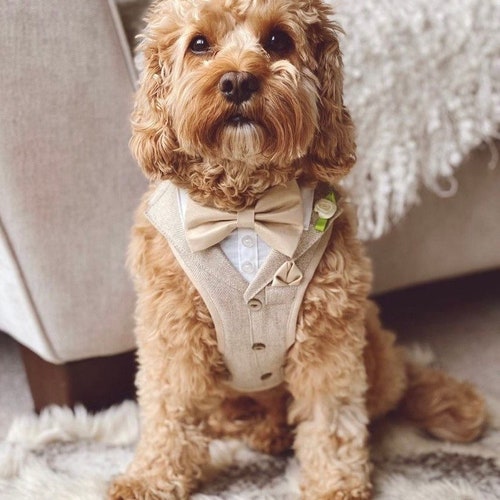 Harnais de smoking en tweed pour chien pour costume d'anniversaire de chien de mariage smoking pour chien d'honneur garçon d'honneur tenue gilet pour chien cadeau de mariage pour chien