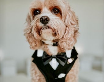 Custom Dog Wedding Tuxedo Harness: Ring Bearer Outfit Azazie bridal colours