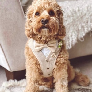 Dog tweed tuxedo harness for wedding dog birthday suit tux for dog of honour ringbearer groomsman outfit dog vest Dog wedding gift
