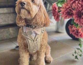 Harnais de mariage sur mesure pour chien avec nœud papillon, tenue de porteur d'alliances, confectionné sur mesure, couleurs assorties