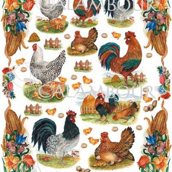 3 poulets en papier de découpage | Poulet de découpage Calambour | Papier cadeau animaux de la ferme Papier Décopatch animaux Calambour Papers Papier Italie