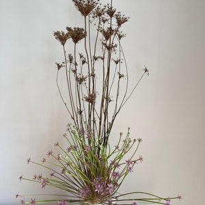 Könnte beinhalten: Ein Blumenarrangement in einer weißen Vase. Es zeigt getrocknete braune Stiele mit Samenkapseln und eine Ansammlung grüner Stiele mit kleinen lila Blüten. Die Anordnung befindet sich vor einem neutralen Hintergrund.