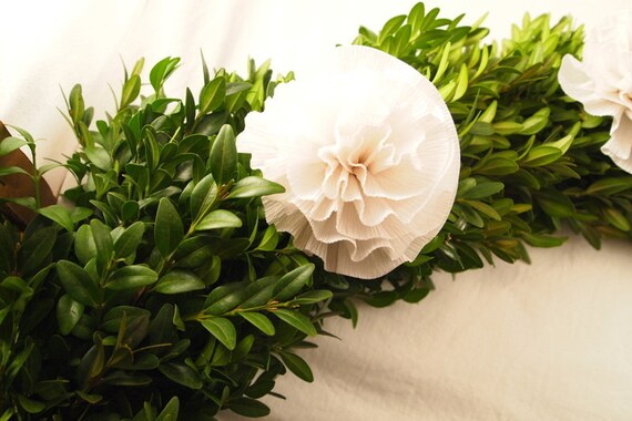 thuja smaragd hochstamm Emerald Cedar 'Smaragd' (Thuja) main image 0