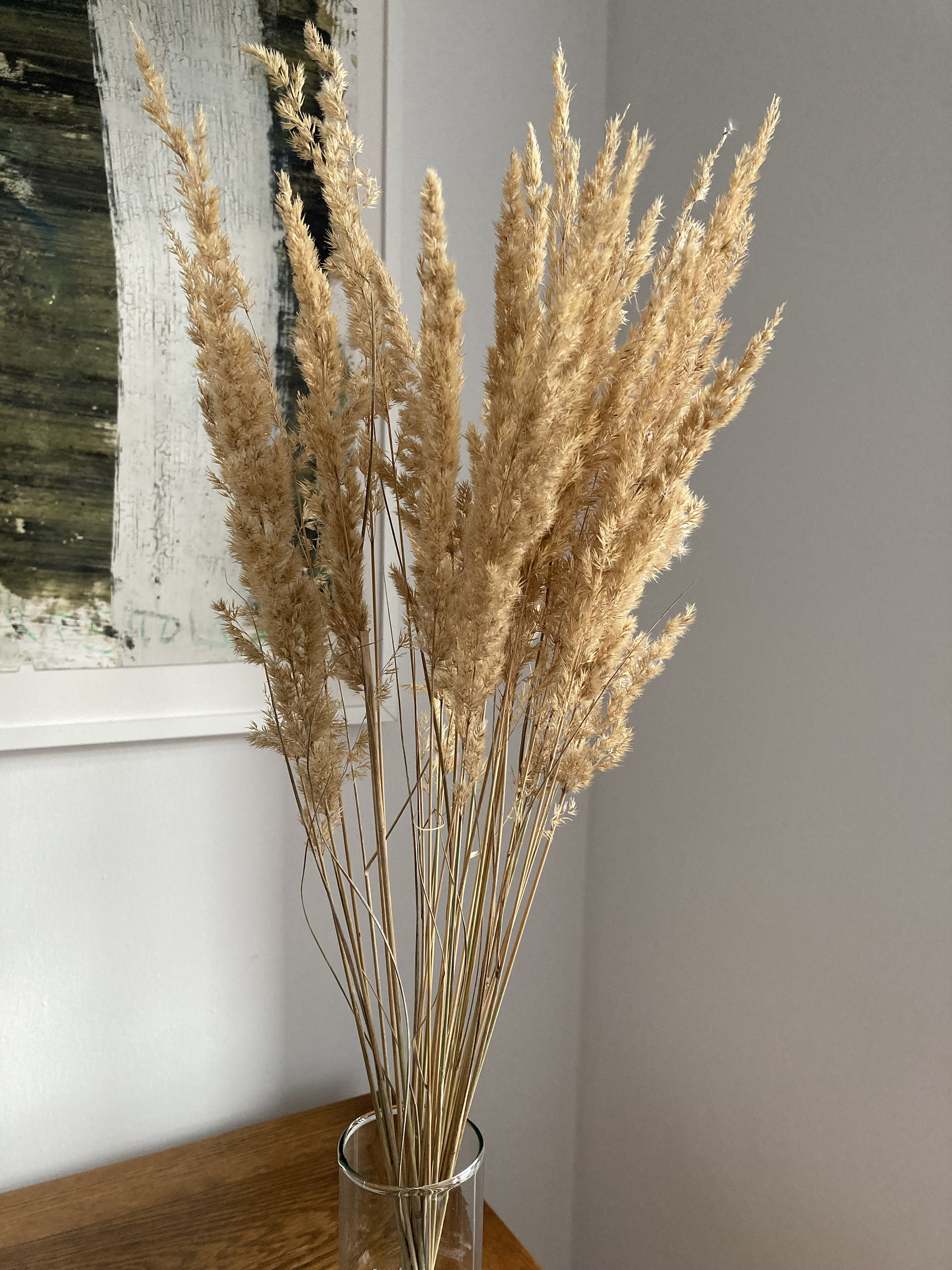 Gräser - wildgewachsen getrocknet - Dried Flowers