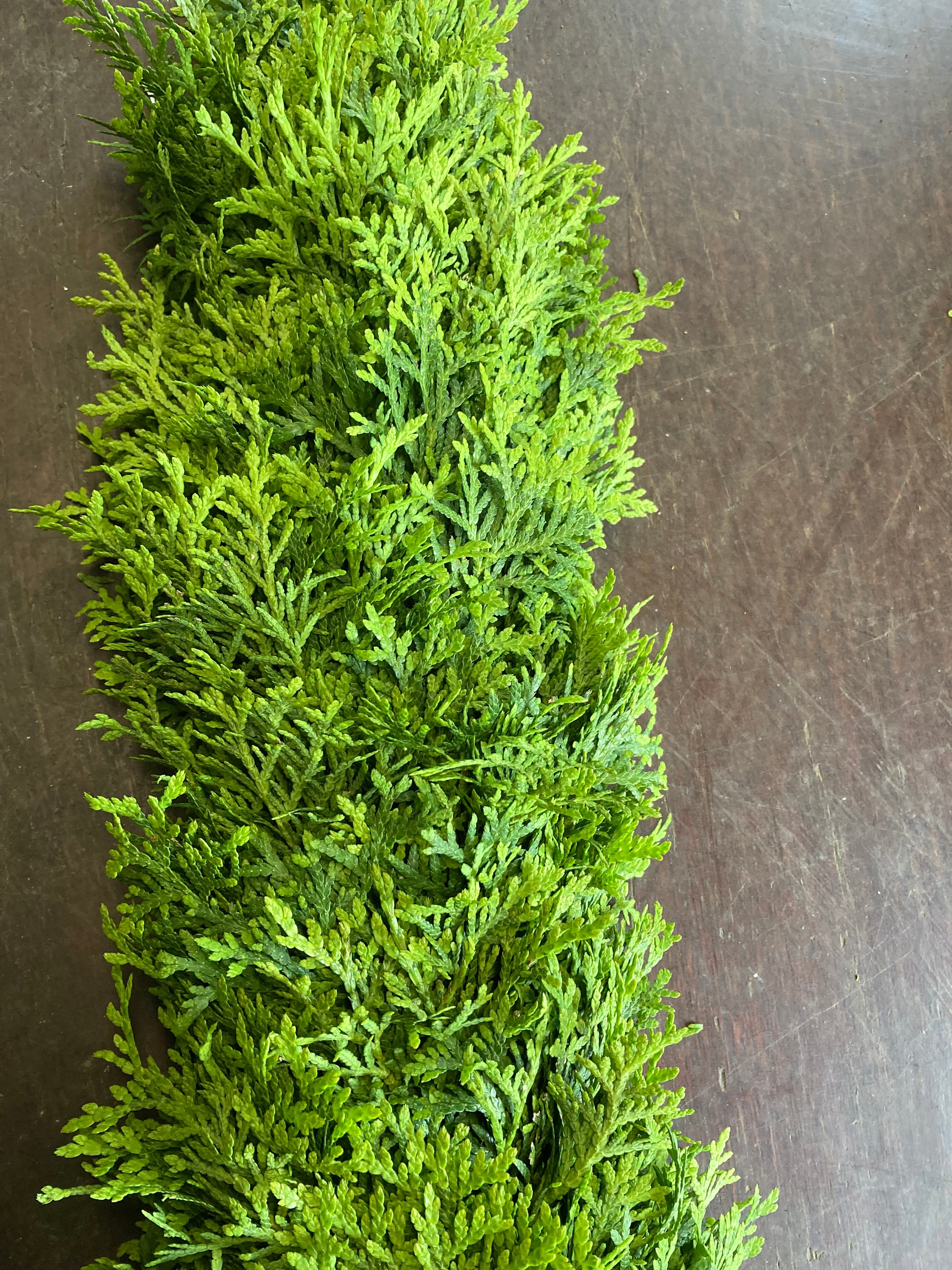 Hochzeitsgirlande aus Thuja - Etsy.de
