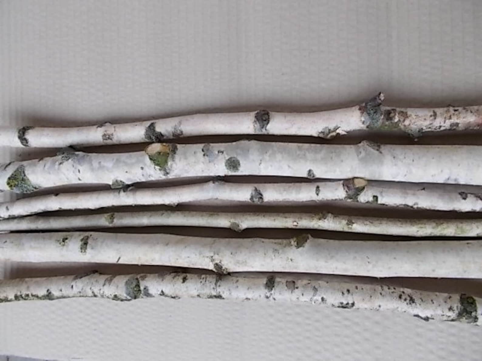 10 Stück Birken-Äste gerade Länge 70-90cm | Etsy