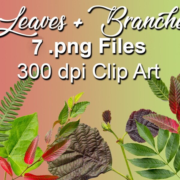 Leaves and branches clip art, green cut outs, tree leaves photographic real plants stock 300 dpi png images