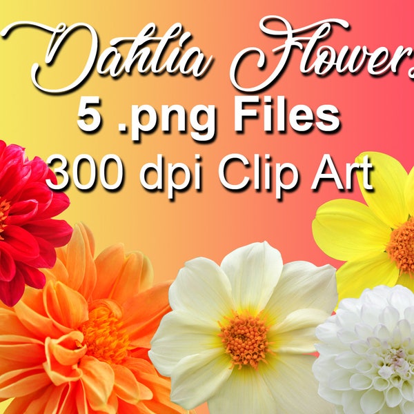 Dahlie-Clip-Art, Blumen ClipArt, Gartenblumen fotografischen Download, warme Farben, echte Blumen, Foto Schnitt Ausschnitte digitaler Download