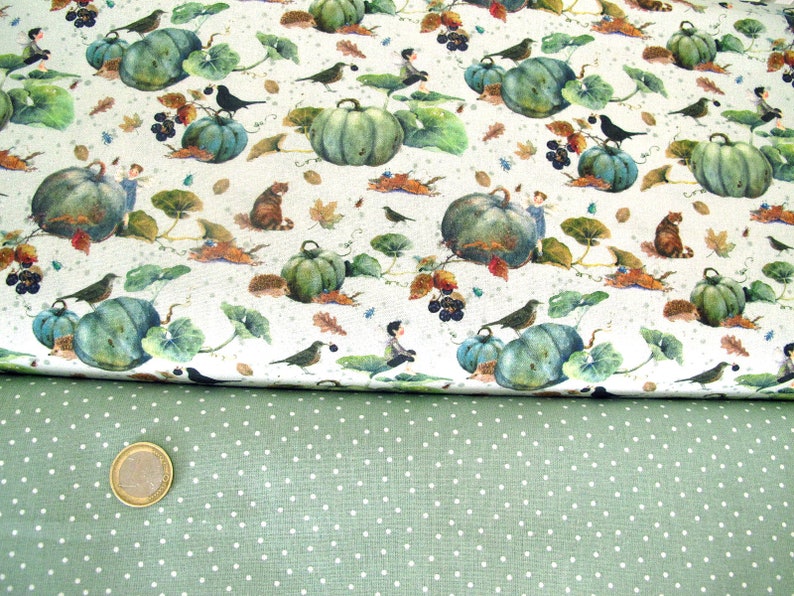 Fabric package cotton Daniela Drescher image 2