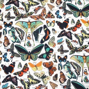 Tim Holtz Stoff Schmetterlinge Eclectic Elements