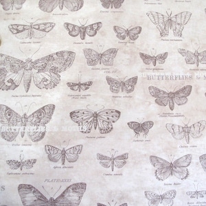 Könnte beinhalten: Vintage-Druck mit detaillierten Illustrationen verschiedener Schmetterlinge und Motten, versehen mit wissenschaftlichen Namen. Das Design ist in Braun- und Beigetönen gehalten und trägt den Schriftzug "Butterflies & Moths". Der Druck hat ein leicht gealtertes Aussehen.