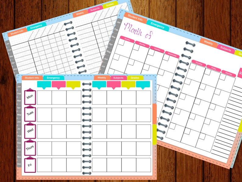 Digital or Printable Goodnotes Teacher Planner Etsy