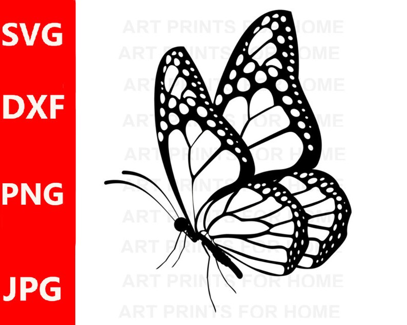 Free Free 100 Blue Monarch Butterfly Svg SVG PNG EPS DXF File