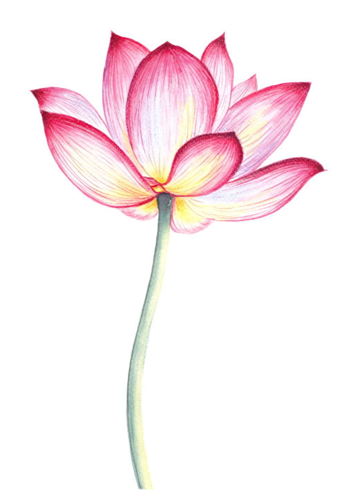 Printable Floral Watercolor Flower