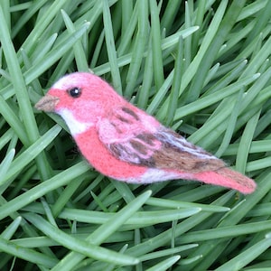Bird needle felted brooch - Pallas&#39;s rosefinch / Shawl pin / Handbag decoration/ Felt jewellery / Wool ornament /Backpack pin /Made to order