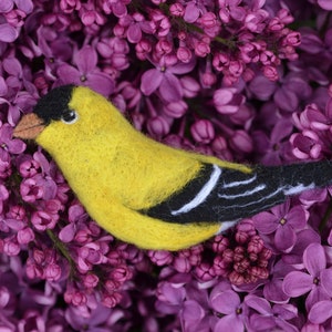 Bird needle felted brooch - American goldfinch / Shawl pin/ Handbag or coat decoration/ Wool ornament/ Backpack pin/ Felt accessory/