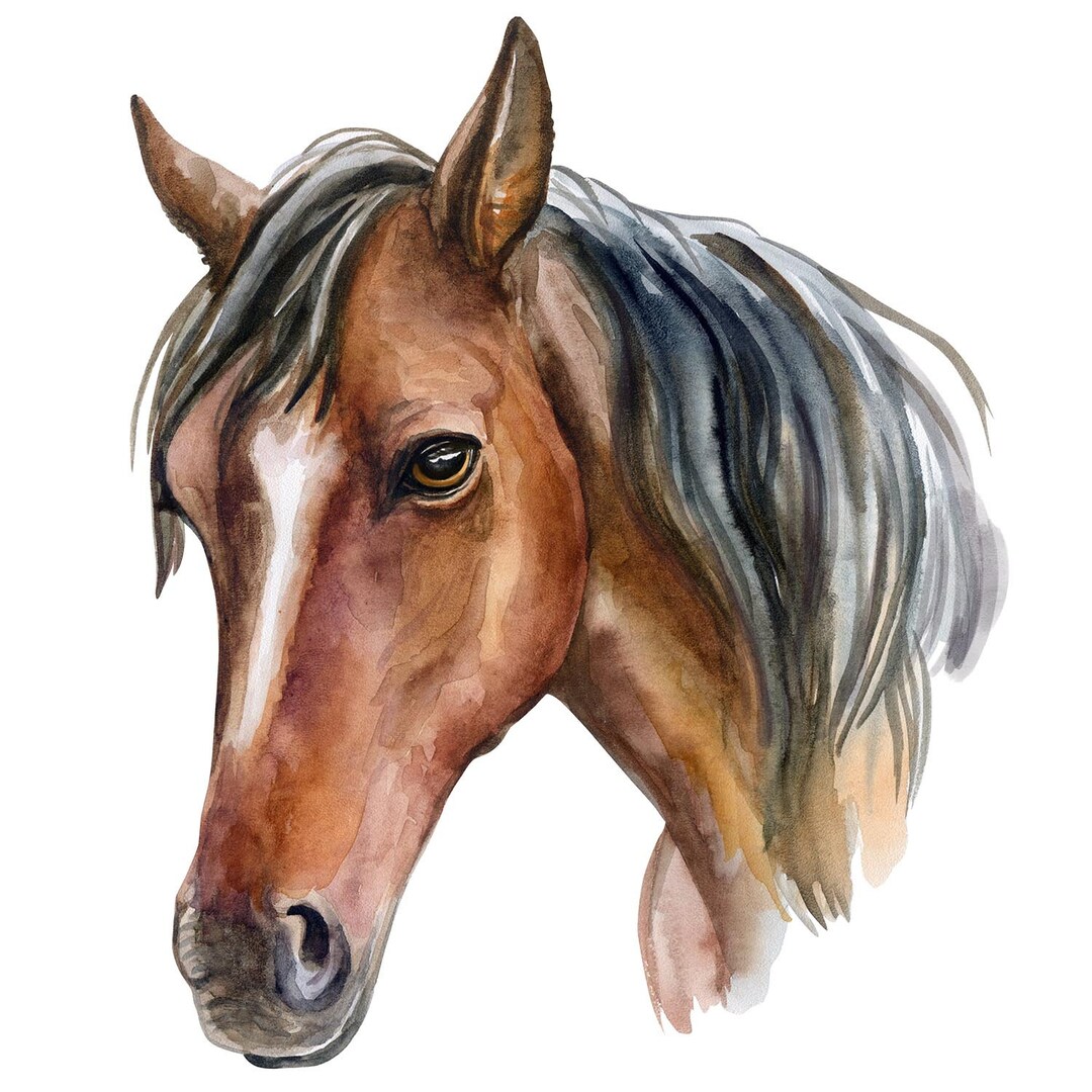 Ironing Picture Horse as a Gift for Embellishing Shirts and Etsy