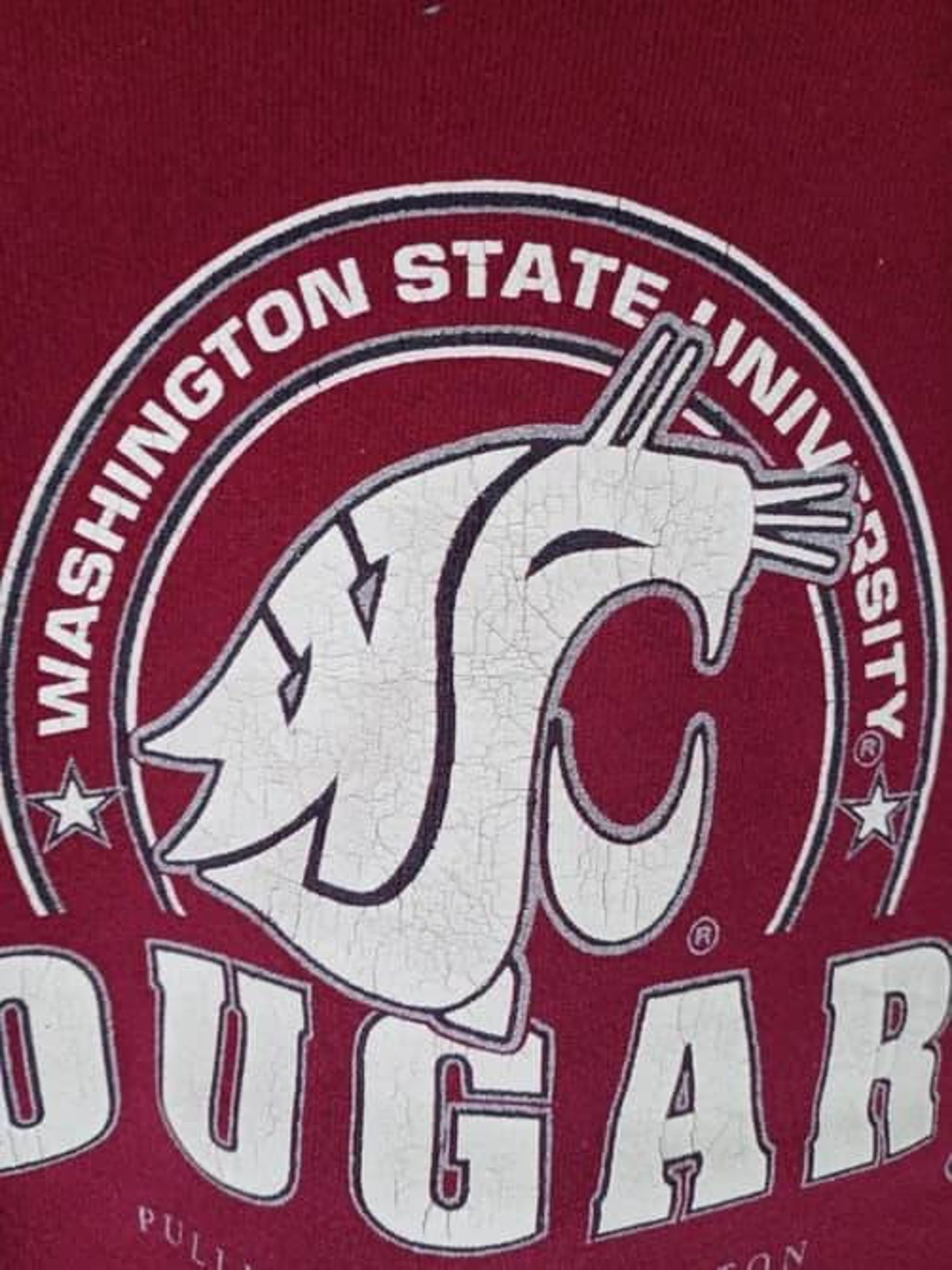 Rare Vintage 90s Cougars Washington State University Big - Etsy