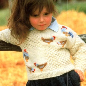 Può includere: Un maglione di lana bianco con collo rotondo e un motivo di galline marroni e blu. Il maglione è indossato da una bambina con i capelli lunghi e castani.