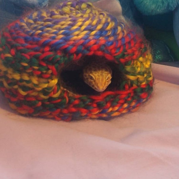 Gay pride leopard gecko hide/bed