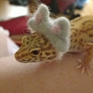 Leopard gecko (and other lizard) hats