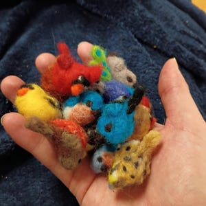 以下が含まれることがあります： 小さなカラフルなフェルトの鳥のコレクションを手に持っています。鳥は黄色、赤、青、緑など様々な色で、詳細な特徴があります。鳥は手作りのアイテムです。