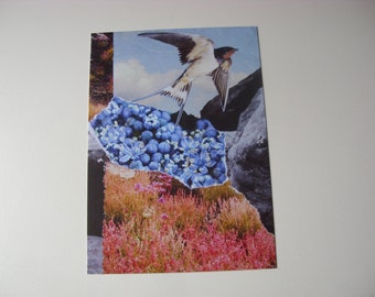 Postkarte „Bergschwalbe“ - B70