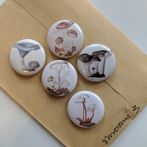 5 Pilz 1&quot; Knöpfe/Badges/Pins (Nr. 3)
