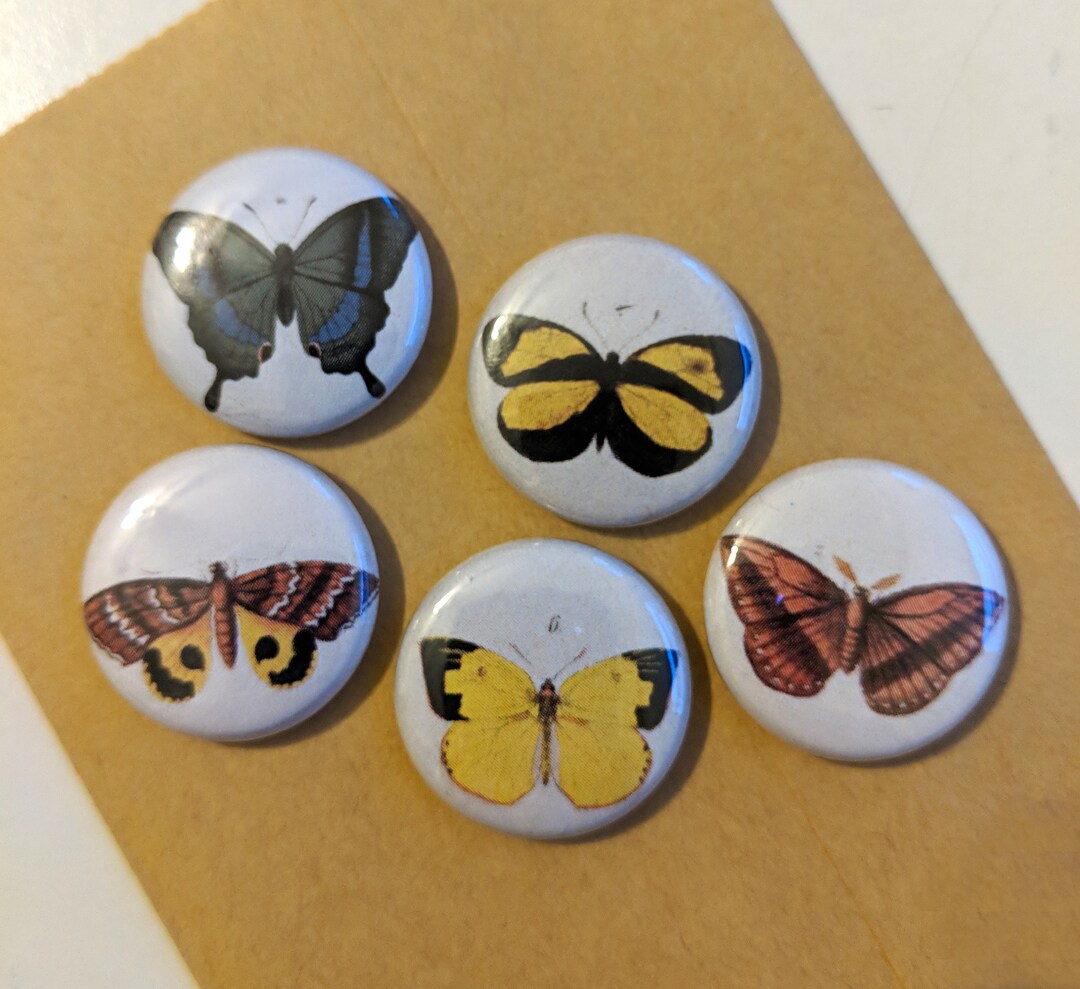 5 Butterflies 1