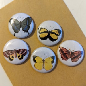 5 Butterflies 1&quot; Buttons/Badges/Pins