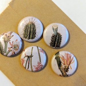 5 Cactus Botánicos Vintage /Suculento Dibujo 1&quot; Botones / Insignias / Pines