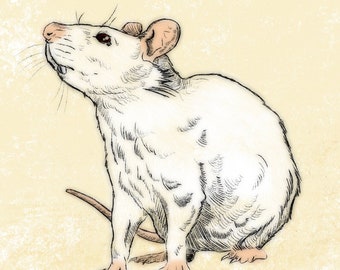 Instant download - White rat art, rat painting, Mouse art, rat postcards, Pencil Drawing, Mouse Wall Poster, Rat portrait, animal stickers