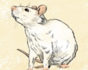 Descarga instantánea: arte de rata blanca, pintura de rata, arte de ratón, postales de rata, dibujo a lápiz, póster de pared de ratón, retrato de rata, pegatinas de animales