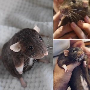 CUSTOM RAT PORTRAIT, Made to order rats, personalized plush figurines, stuffed toy, plush rat, faux fur mouse, ooak plush toy, custom gift