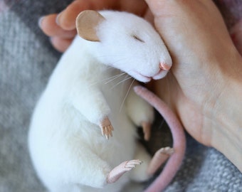 Weiße schlafende Ratte, Filzmaus, Plüschmaus, ausgestopfte Ratte, Albino Ratte Figur, nadelgefilzte Ratte, Wollspielzeug, Rattenspielzeug, Rattenportrait