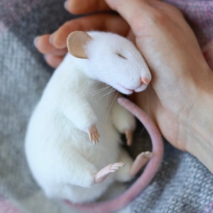 White sleeping rat, felt mouse, plush mouse, stuffed rat, albino rat figurine, needle felted rat, wool toy, rat toys, rat portrait